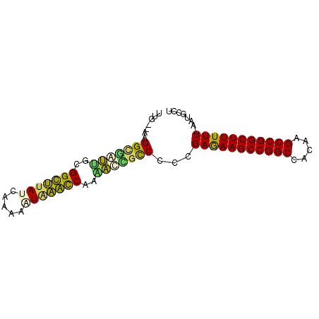 secondary structure
