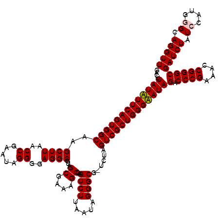 secondary structure