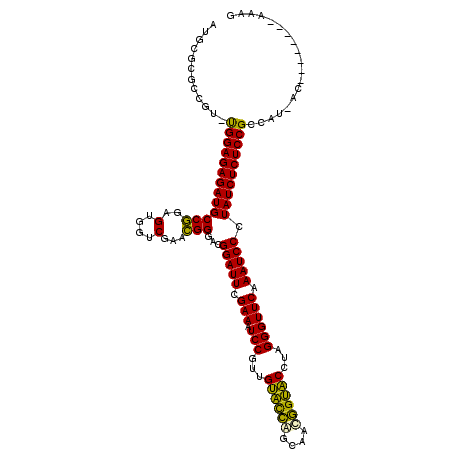 secondary structure