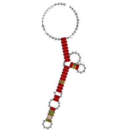 secondary structure