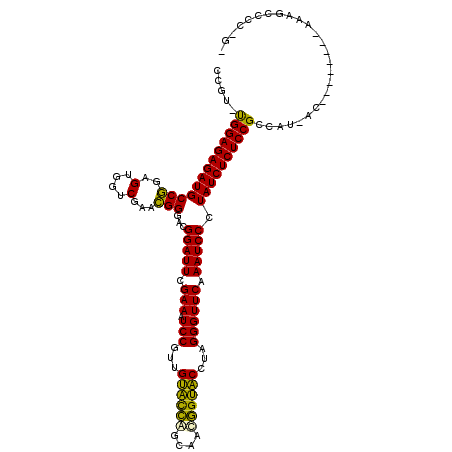 secondary structure