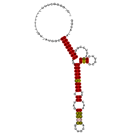 secondary structure