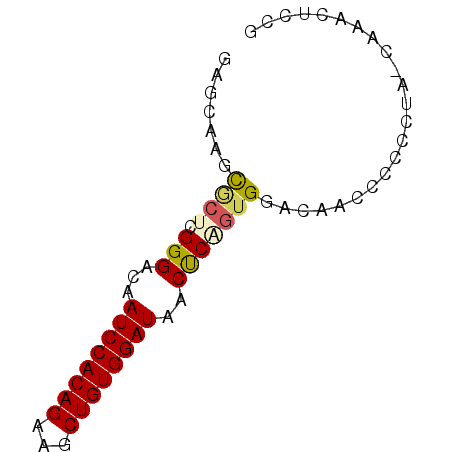 secondary structure