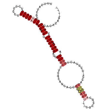secondary structure