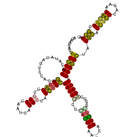 secondary structure