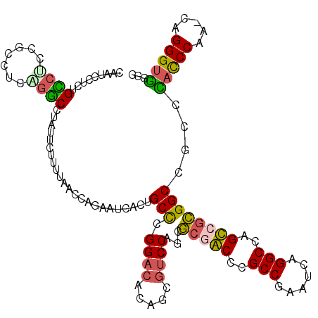 secondary structure