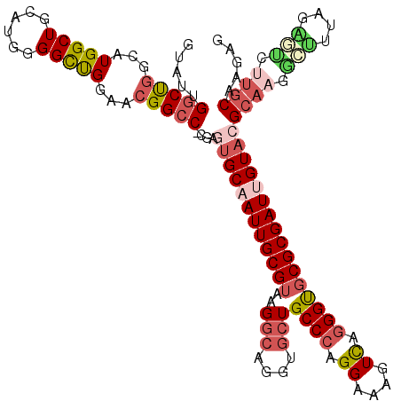 secondary structure