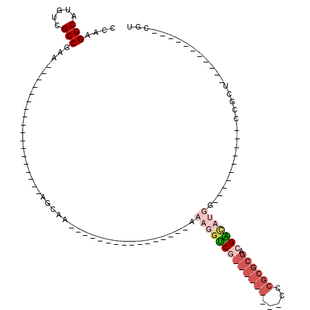 secondary structure