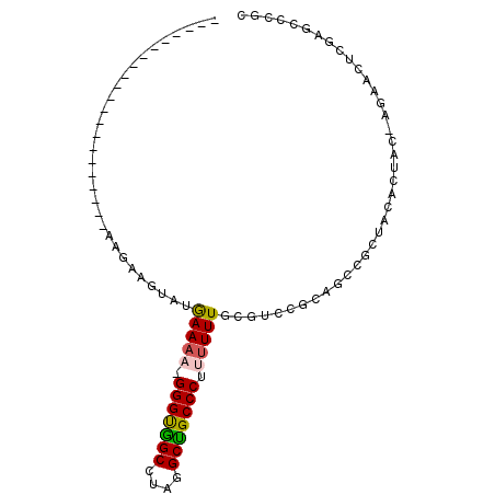 secondary structure