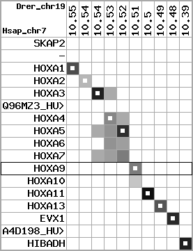 region1, score=5581