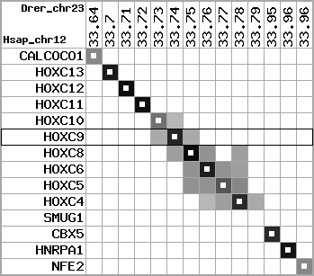 region1, score=8687