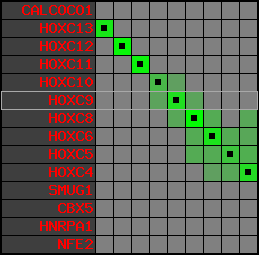 region2, score=6537