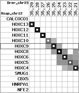 region2, score=6537