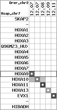 region60, score=2133