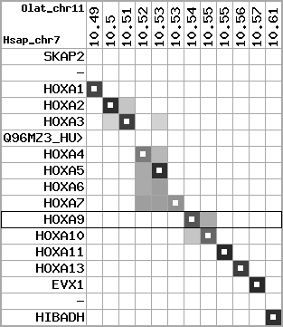 region8, score=6577