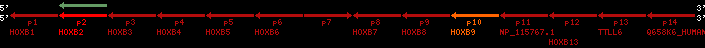 region100, score=144