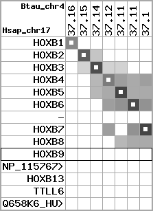 region22, score=3230
