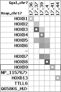 region52, score=1763