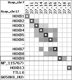 region9, score=4318
