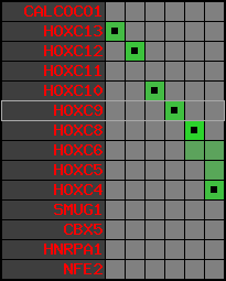 region42, score=2844