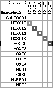 region51, score=2098