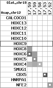 region55, score=1564
