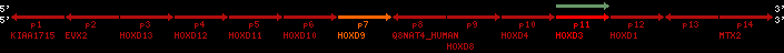 region101, score=117