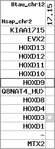 region101, score=117