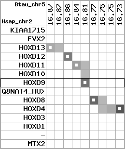 region39, score=2105