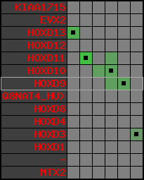 region62, score=1305