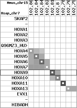 region100, score=2746