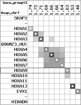 region105, score=3430