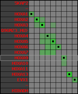 region107, score=3129