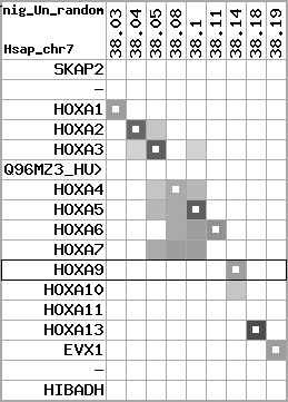 region107, score=3129