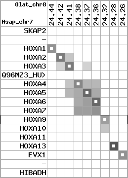 region108, score=3120