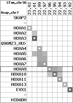 region109, score=2613