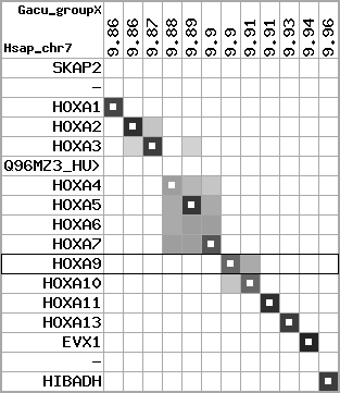 region11, score=6508