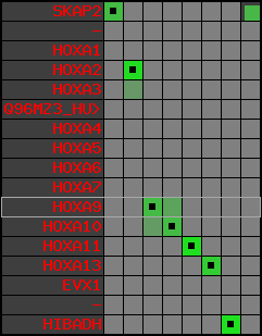 region12, score=3874