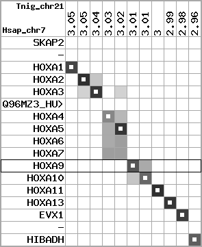 region13, score=5915