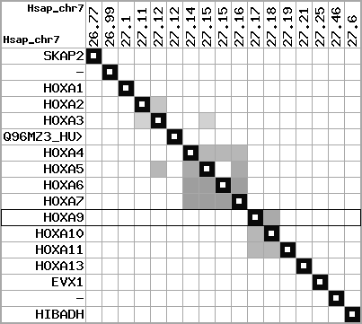 region1, score=17000