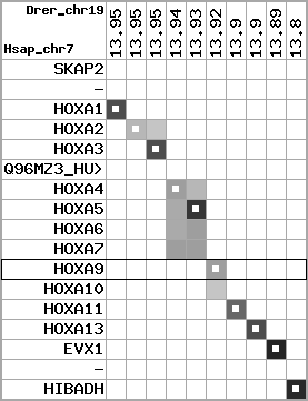 region20, score=4687