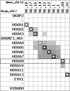 region25, score=3848