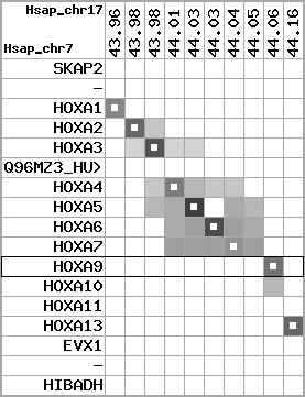 region37, score=3728