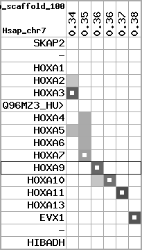 region41, score=2461