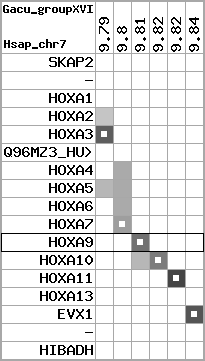 region43, score=2477
