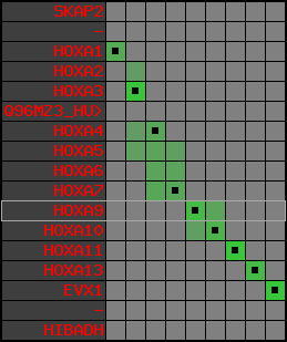 region45, score=3470
