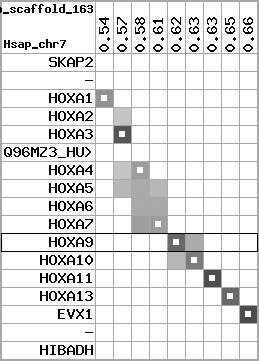 region45, score=3470