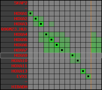 region51, score=4373