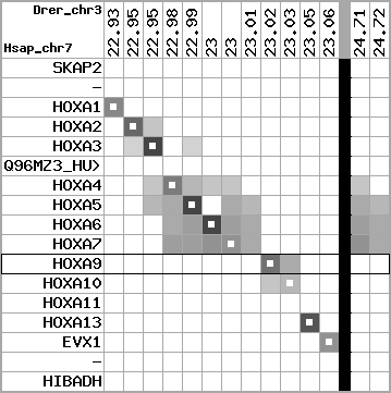 region51, score=4373