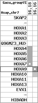 region55, score=466